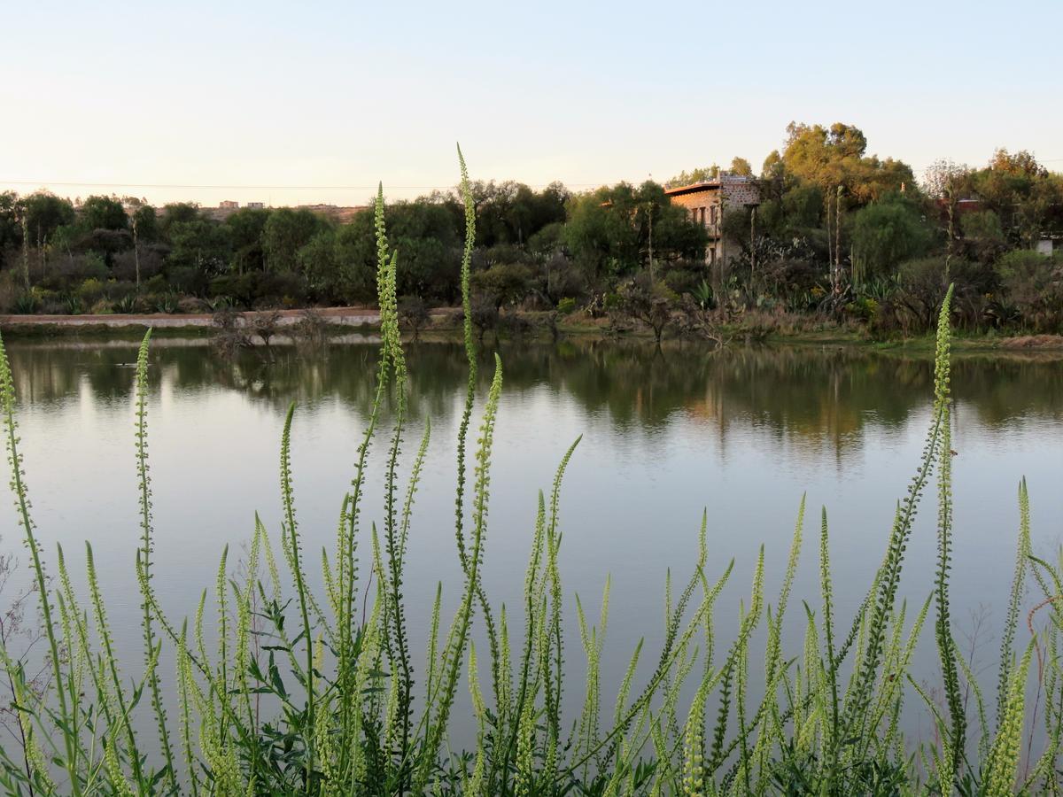 Hacienda Tovares Cadereyta de Montes Exterior foto