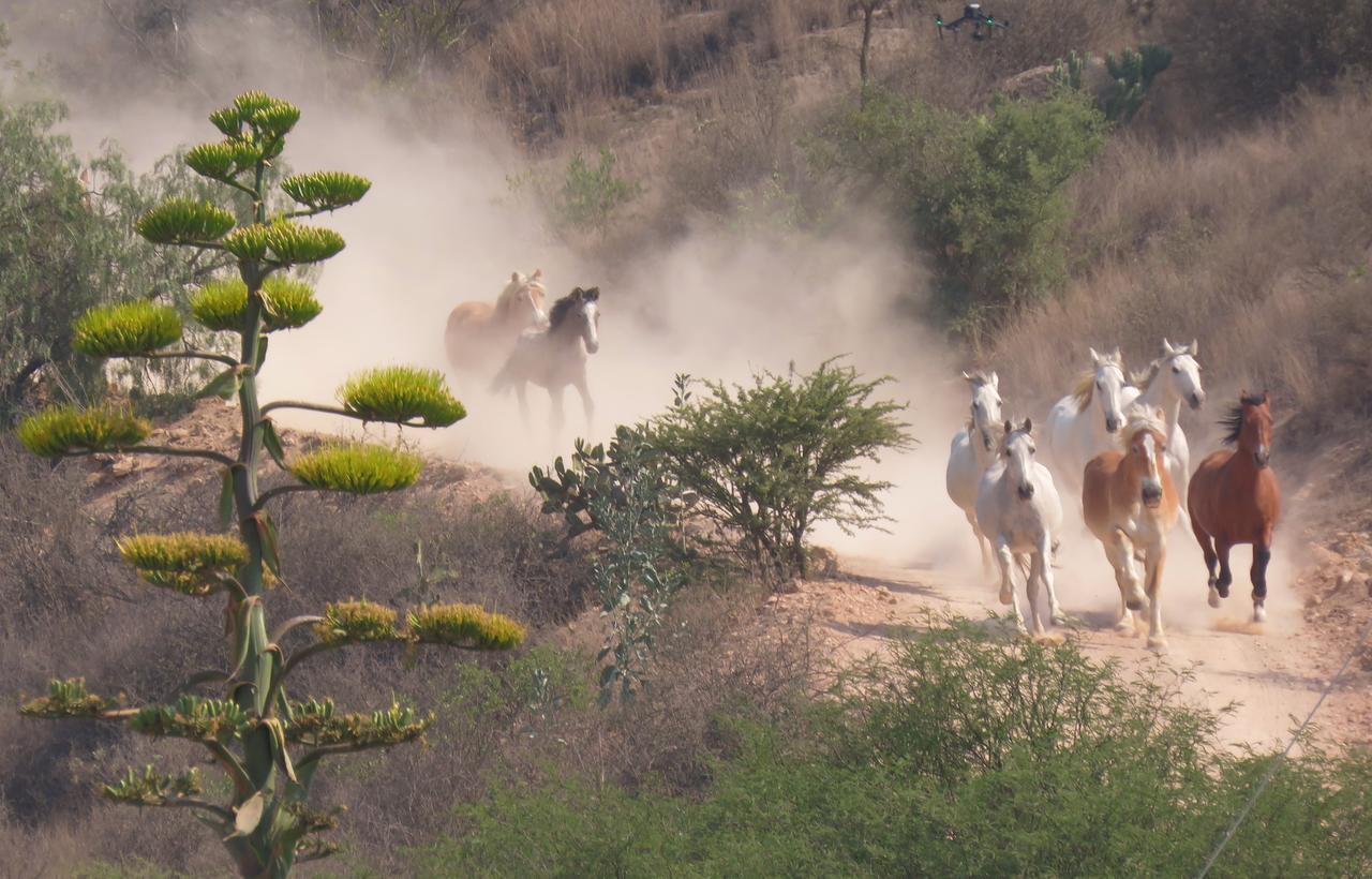 Hacienda Tovares Cadereyta de Montes Exterior foto